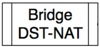 Bridge Destination NAT