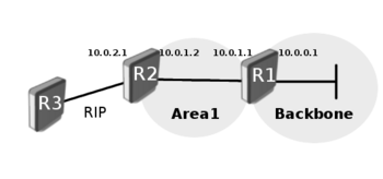 Nssa-example.png